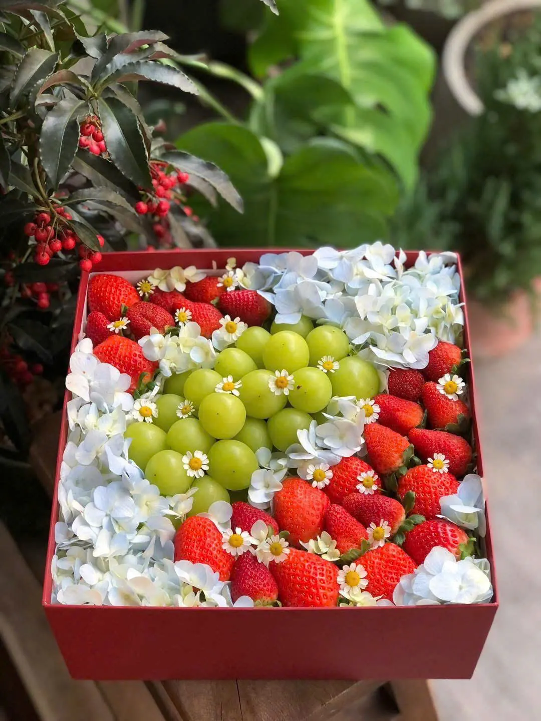 Hộp Quà Trái Cây H-02 – Kiều Fruit Đà Nẵng