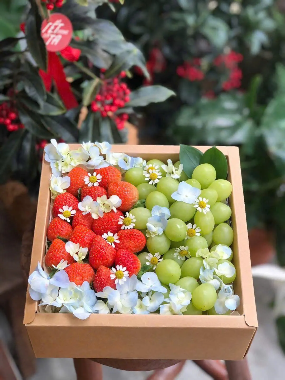 Hộp Quà Trái Cây H-08 – Kiều Fruit Đà Nẵng
