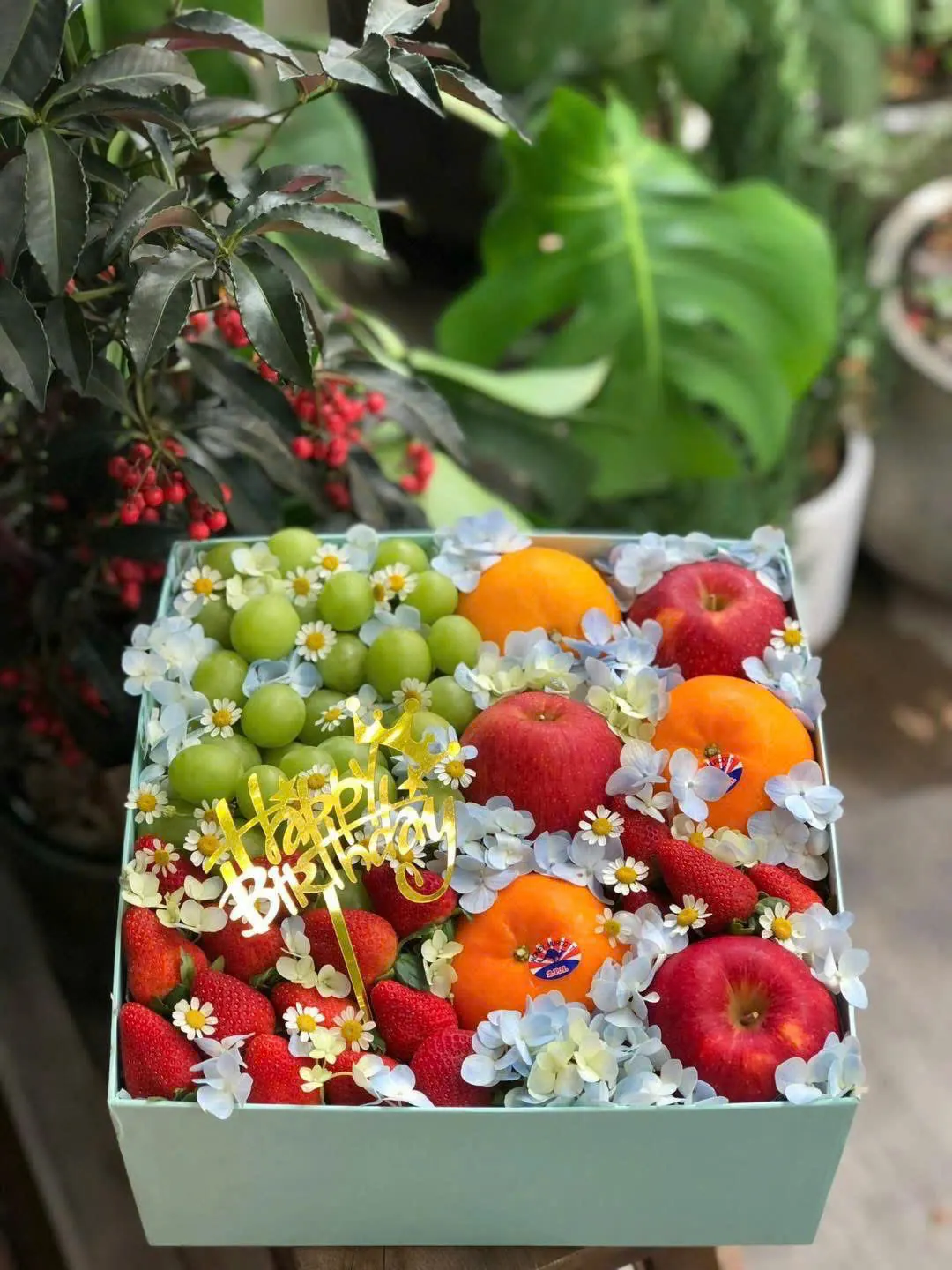 Hộp Quà Trái Cây H-44 – Kiều Fruit Đà Nẵng