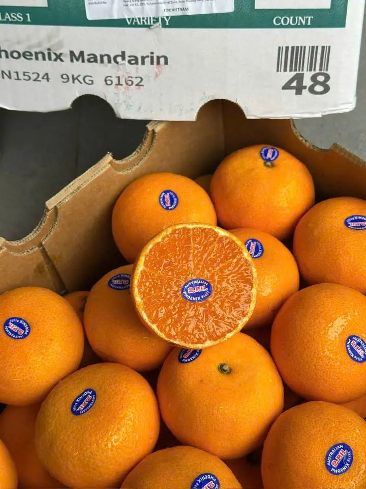 Quýt Úc 2PH nhập khẩu tại Đà Nẵng – Kiều Fruit