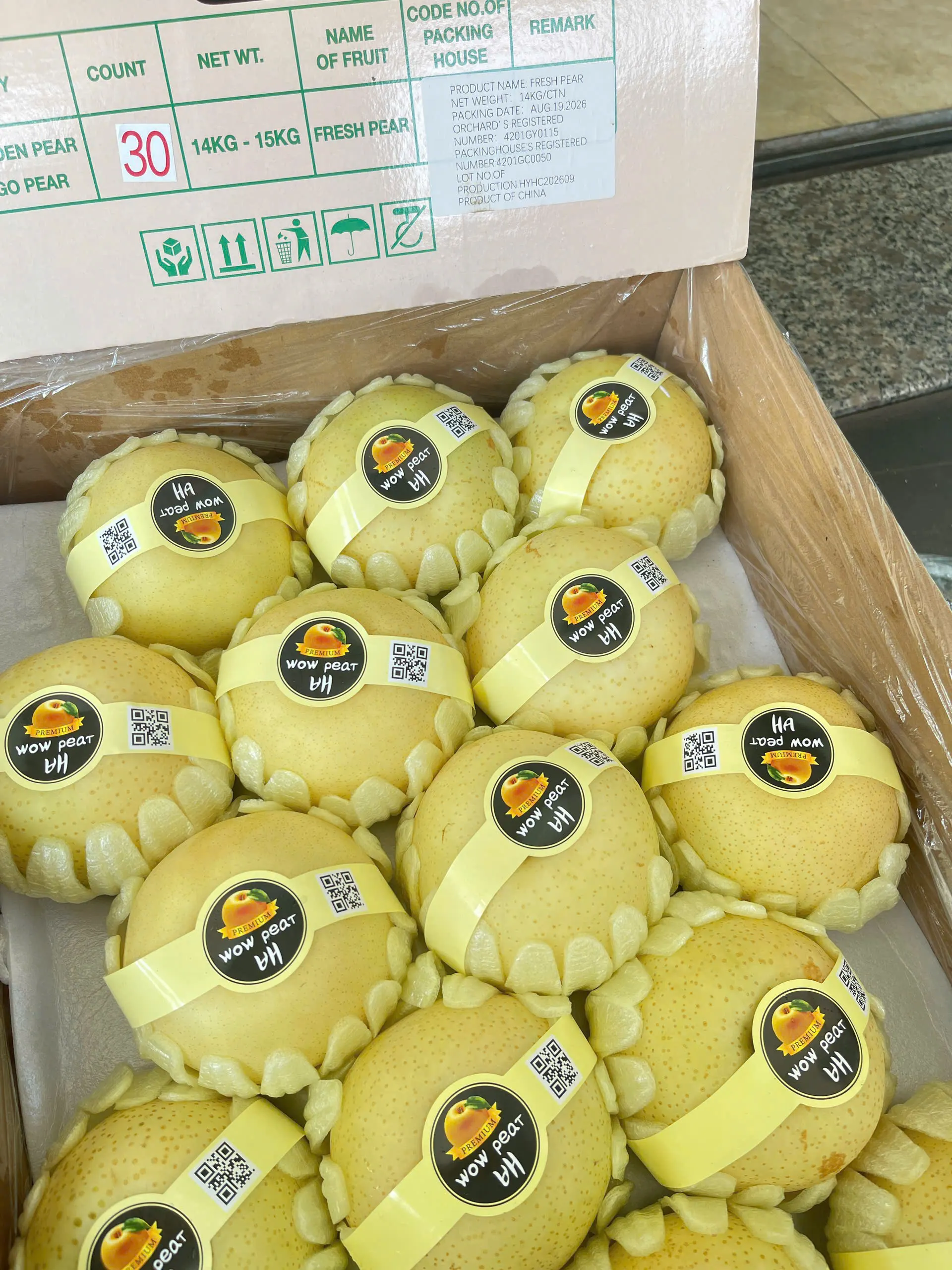 Lê sữa thơm ngọt mọng nước tại Đà Nẵng – Kiều Fruit